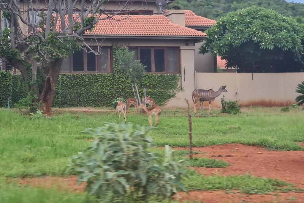 Appartamento 66 Sharalumbi Wildlife Estate Lydenburg Esterno foto