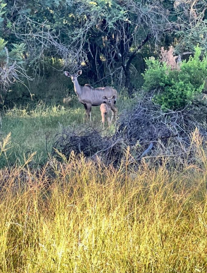 Appartamento 66 Sharalumbi Wildlife Estate Lydenburg Esterno foto