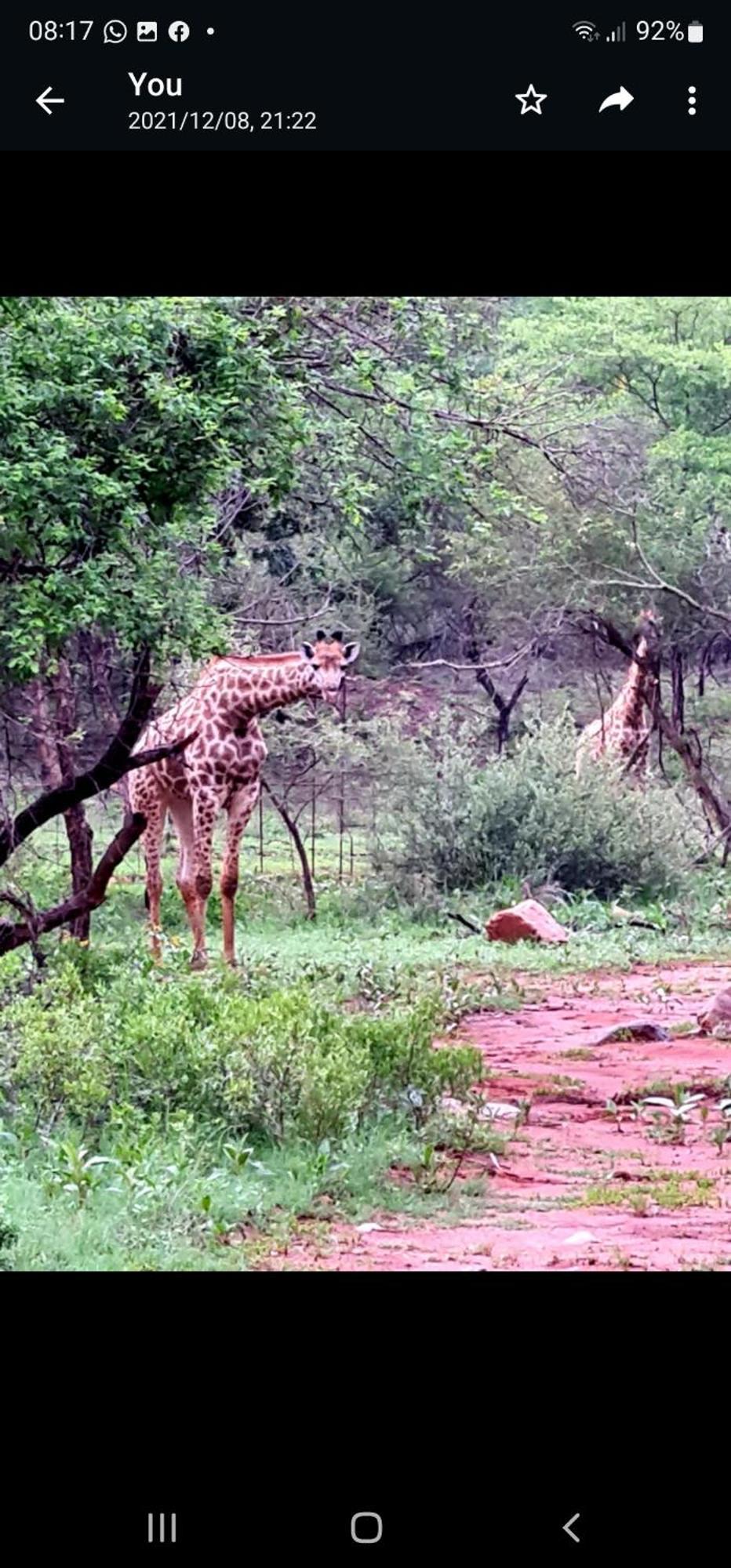 Appartamento 66 Sharalumbi Wildlife Estate Lydenburg Camera foto